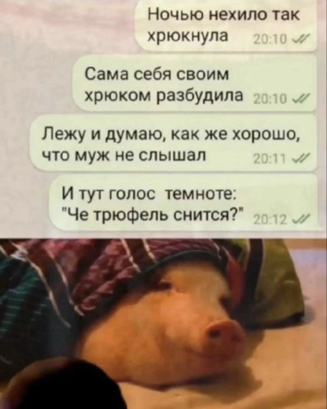 Картинки для деградации 240 (разной степени свежести)