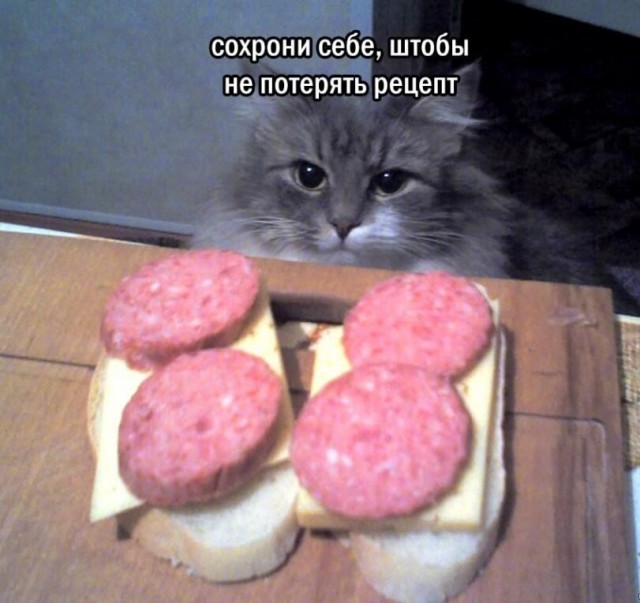 Картинки для деградации 262 (разной степени свежести)