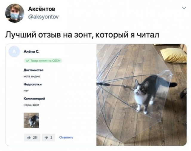Веселые картинки в пятницу (04.09)