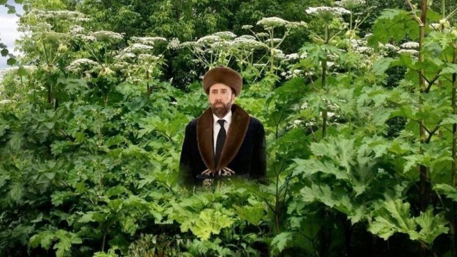 Джеки Чан уезжает из Казахстана