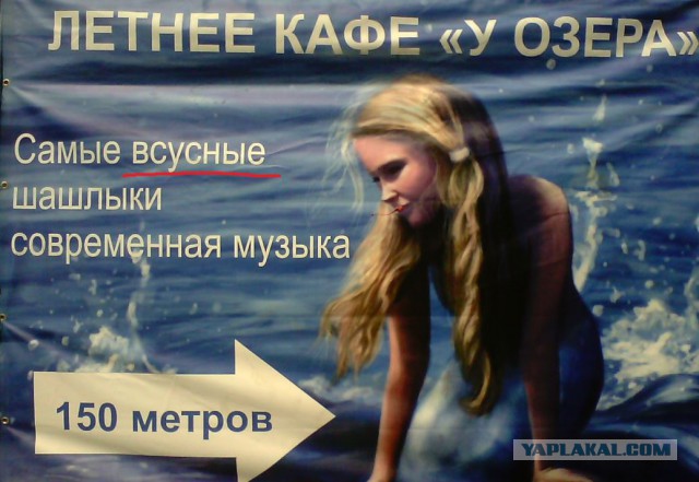 Маразмы года 2013