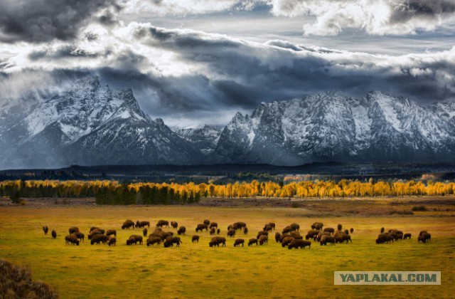 30 самых удачных фотографий января
