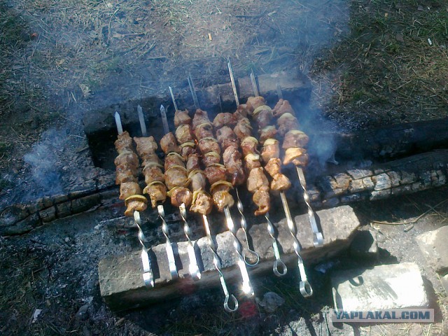 Сезон открыт!