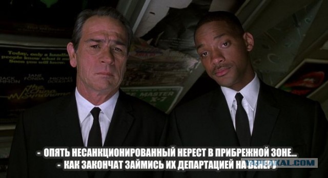 Секс на глазах у всех