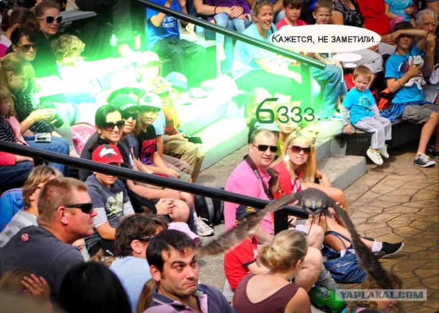 Кажется не заметили