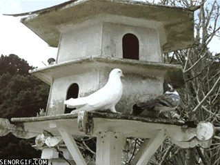 Не догоню, так хоть согреюсь