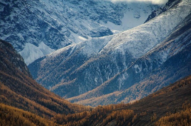 National Geographic,избранное...