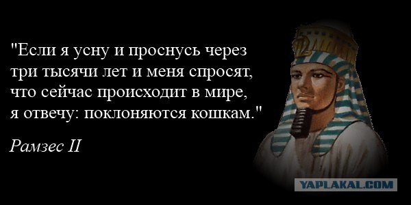 Как говорил Рамзес...