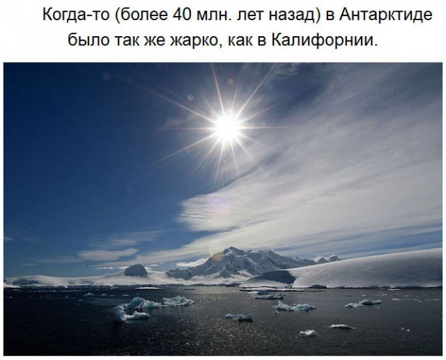 Чего мы не знали об Антарктиде