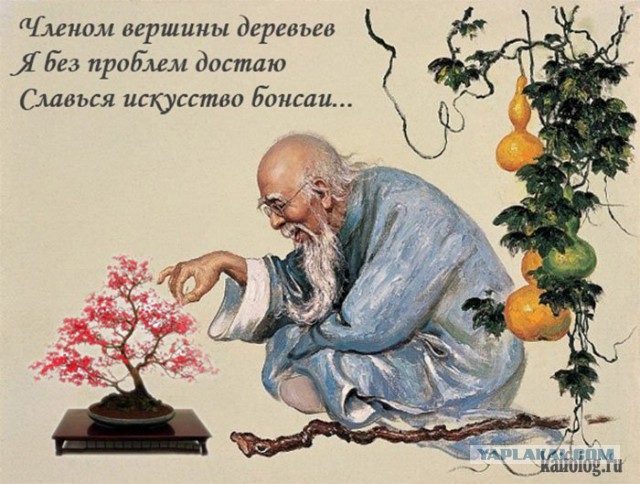 Картинки, гифки.