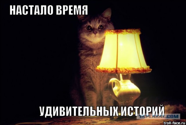 Модницам на заметку.