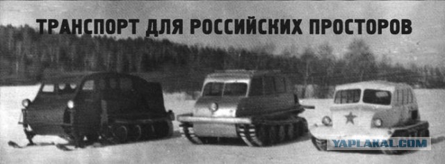 Игра на ЯПе: Угадай АВТО-9