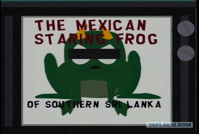 Самостоятельное путешествие в Шри-Ланку