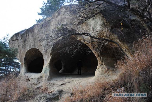 Косыгинская тропа - тайное место и редкое фото