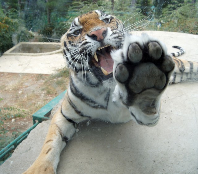 Подборка интересных и веселых картинок