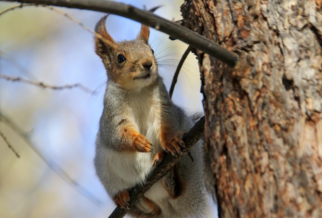 Подборка интересных и веселых фото