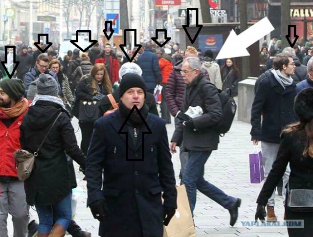 Вот бы нам так!