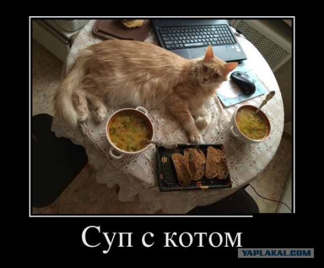 Черный юмор (Black Humor)