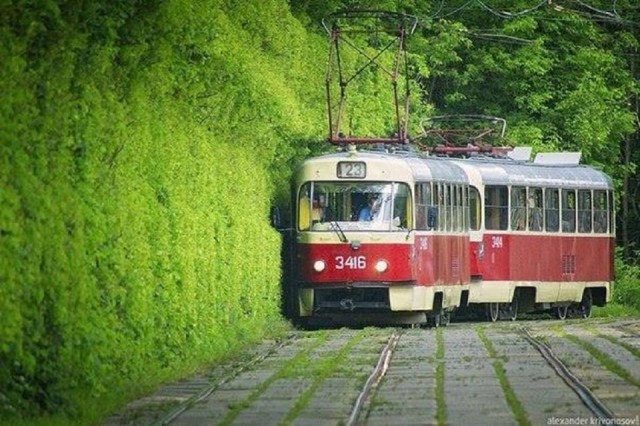 Моменты, запечатлённые на фото и просто позитив 5