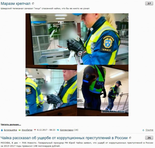 Шведский телеканал замазал "лицо" спасенной чайки, что бы ее никто не узнал