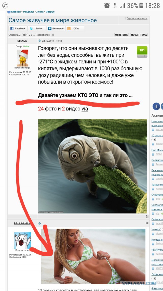 Самое живучее в мире животное