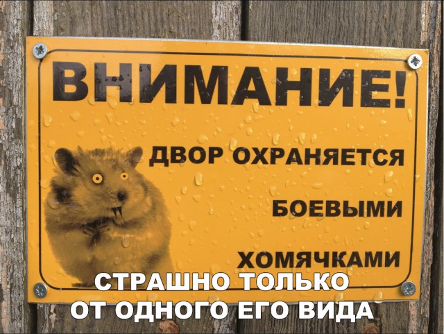 Нестандартный юмор