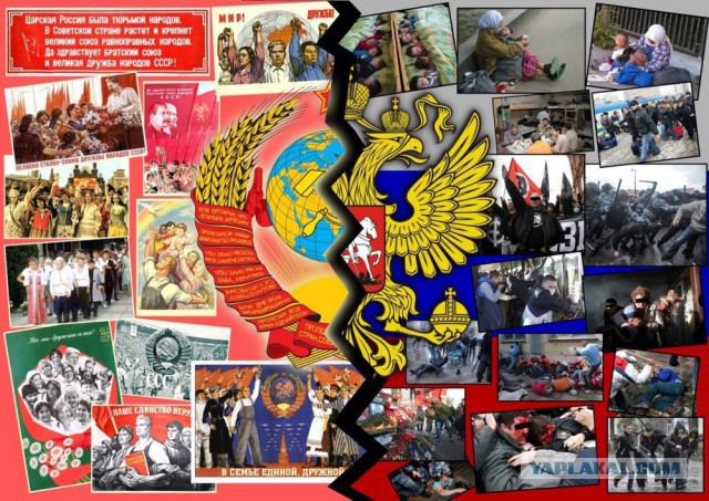 Теперь они свободны!