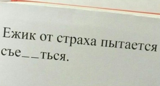 Записи в школьных дневниках и тетрадях