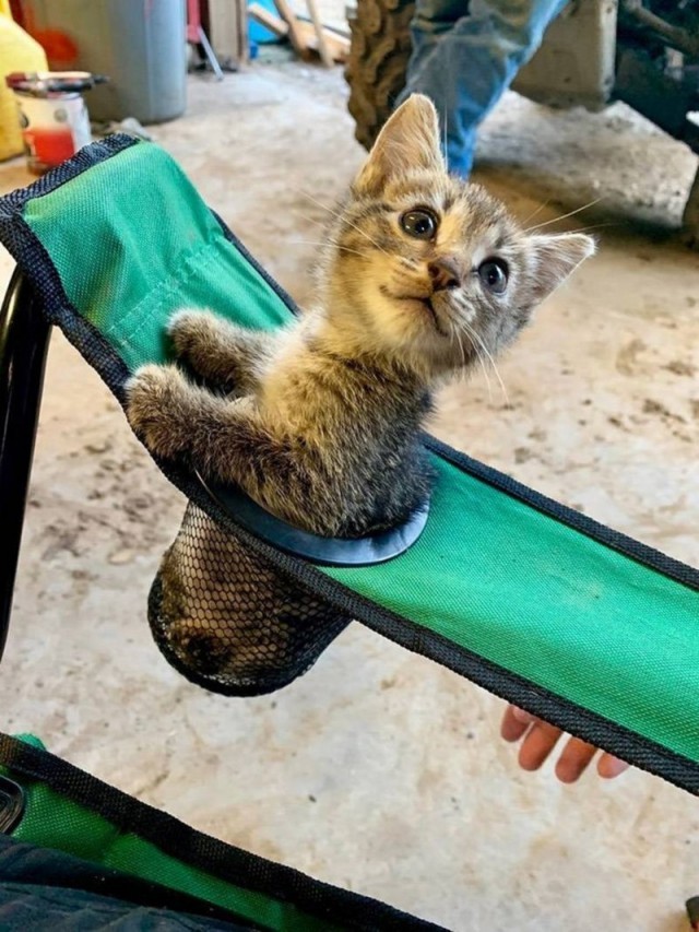 Просто фото 2019/09/09