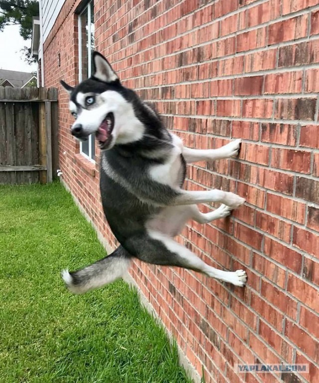 Воскресная фотоподборка