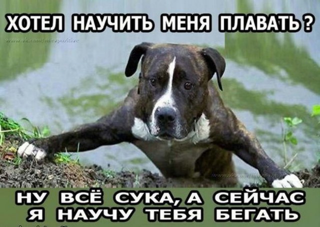 Картинки разные нужны, картинки всякие важны