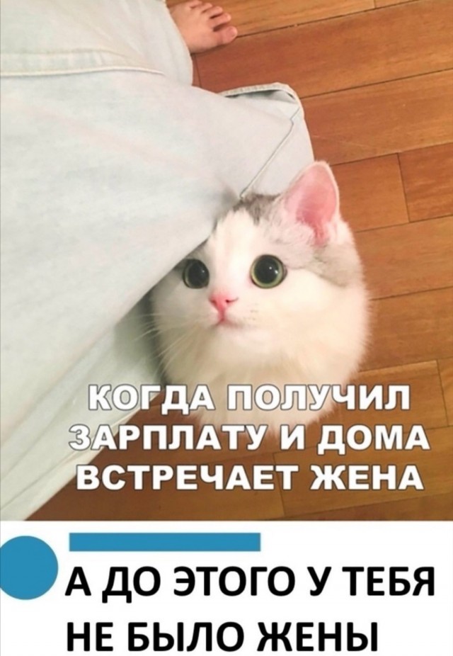 Забавные комментарии из социальных сетей (10.02.20)