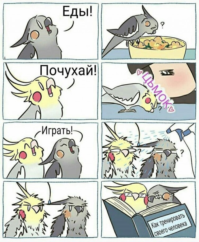 Зверушки