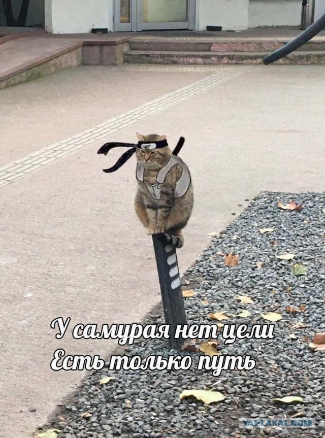 Почему так рано умирают мужчины? (Алкоголь ни при чем)
