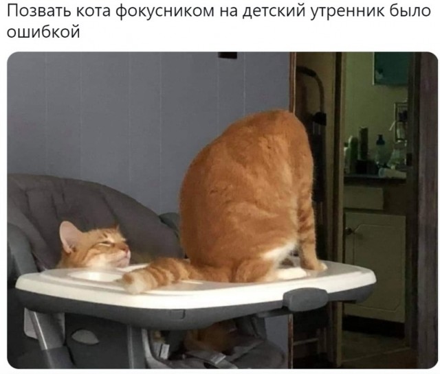 Баянисто-небаянистый юмор 10.10.21