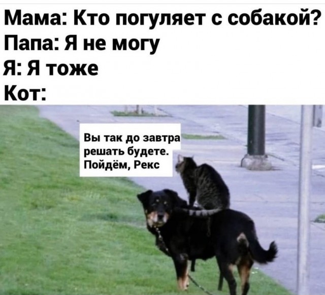Весёлый полтишок 02.11