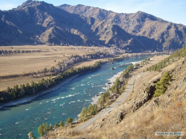 В ноябре на Алтае 2010г.