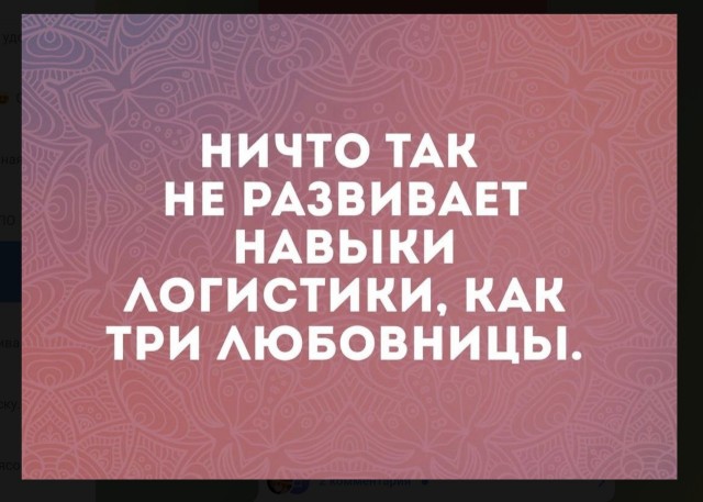 Чуток картинок 04.02.22
