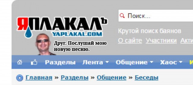 Как поймать собаку
