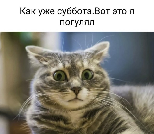 Так себе картинки 26.03.22