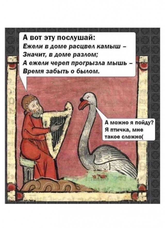 Веселые картинки!