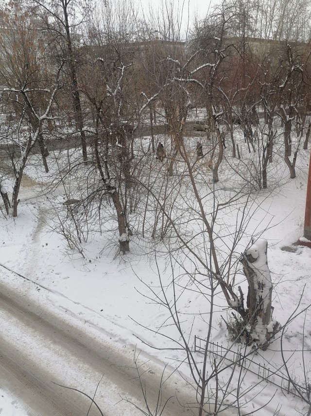 Воркута сегодня