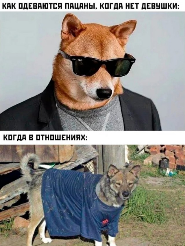 Картинки и мемы. Выходные близко...