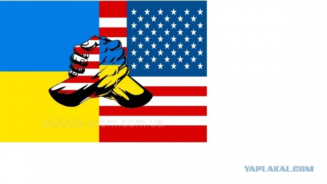 Мозгов нет, точно...