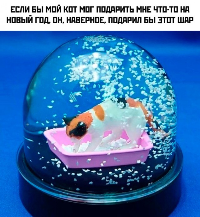 Картинки и мемы. Выходные близко...