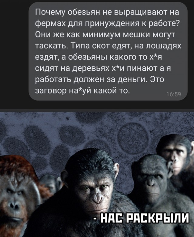 Весёлый полтишок 12.03.23