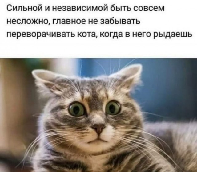 Всего понемногу. От 30 апреля