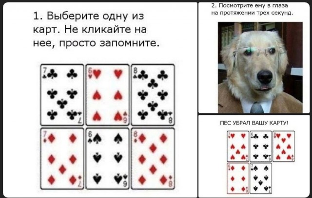 Скупка краденого из сети 06-06-2023
