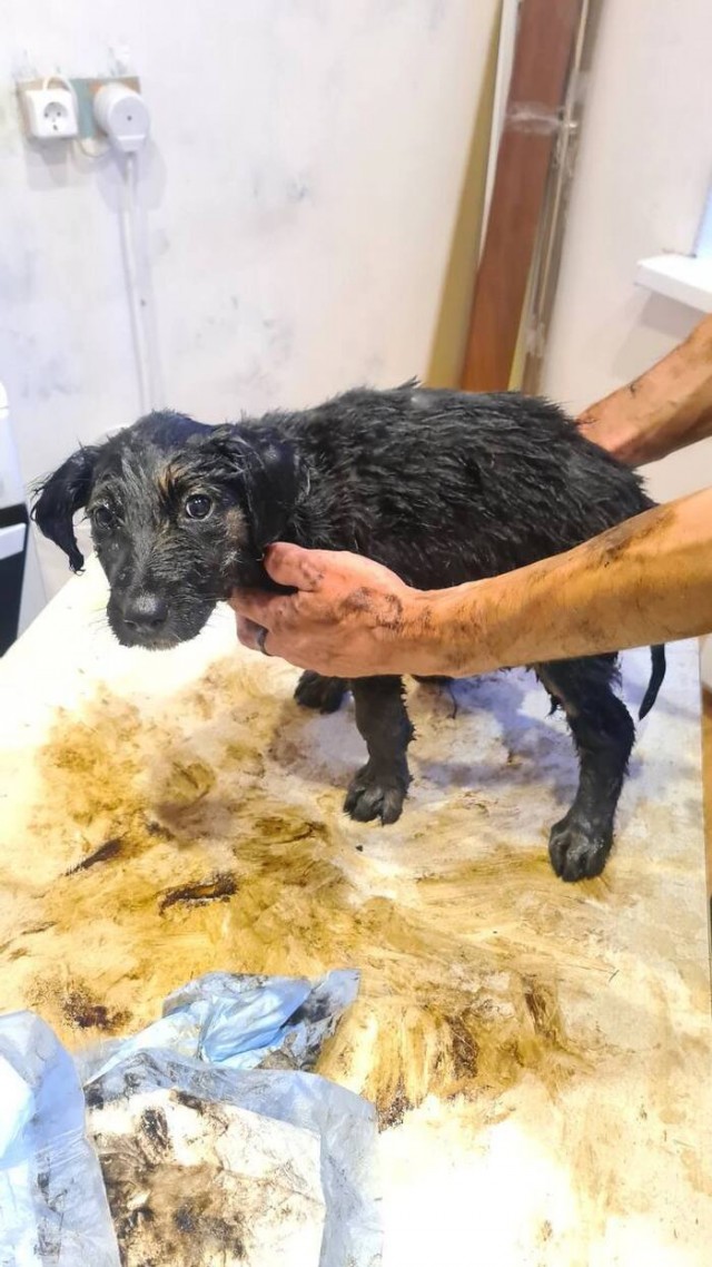 Спасение