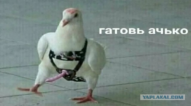 Развелась из-за запаха
